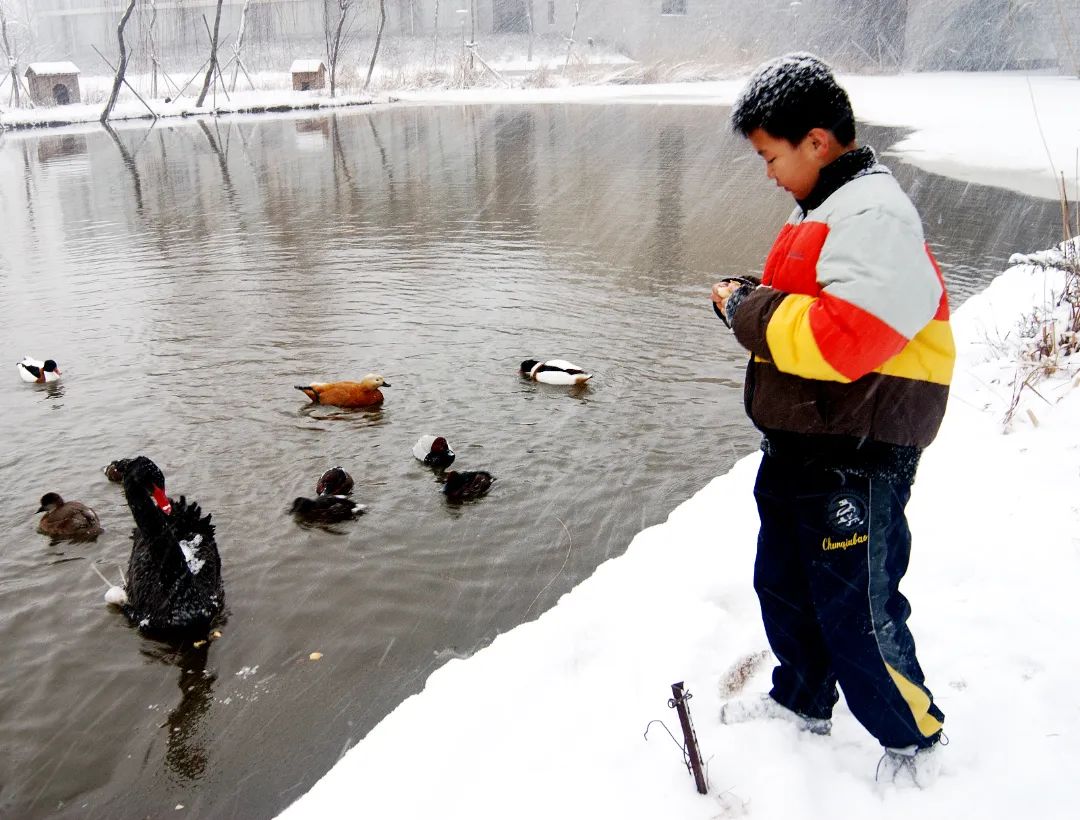 1672006956177320.jpg 1672006956177320.jpg