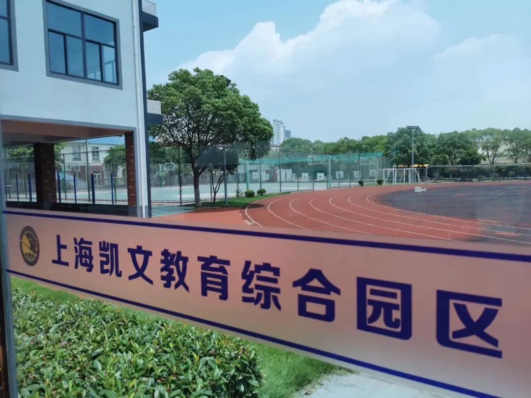 1678868207395980.jpg 1678868207395980.jpg