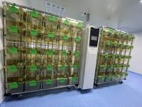 1680484927345263.jpg 1680484927345263.jpg