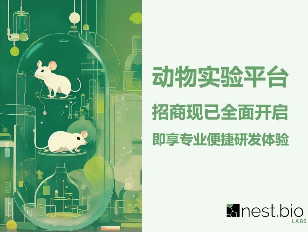 1680487226316246.jpg 1680487226316246.jpg